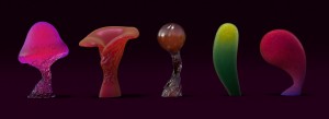 Sarah made some colorful exotic mushroom models.