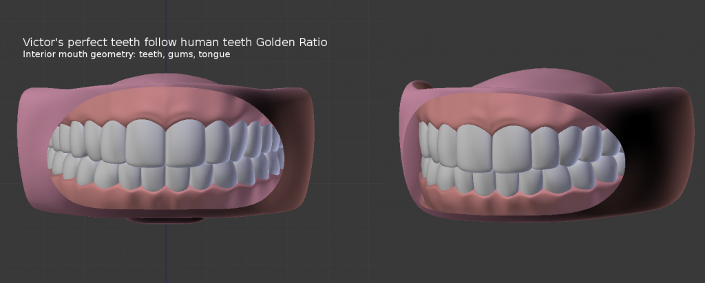 Teeth requirements: nice, perfect, a full set of realistic human adult teeth, including wisdom teeth.